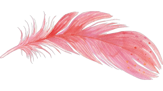 I’m Feather: The Philosophy of featheria.