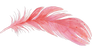 featheria